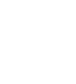 Icon 8